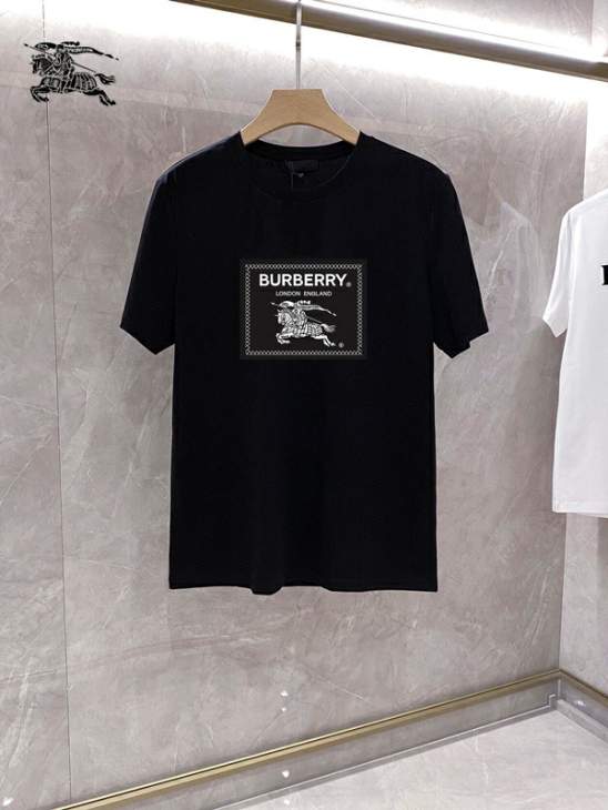 Picture of Burberry T Shirts Short _SKUBurberryS-5XL25tr5219676